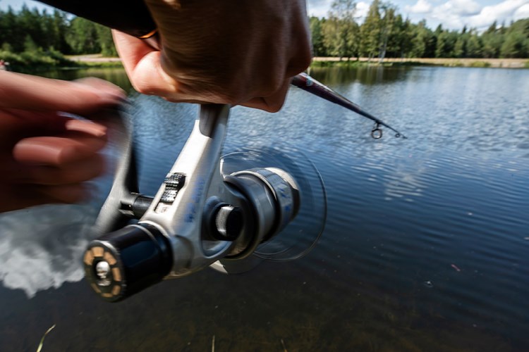 Fiska i Sälen här finns det gött om öring, röding, harr, abborre och gädda. Flugfiska eller meta vi har fisket för alla. Kläppen i Gråhedsdammen med Put and Take