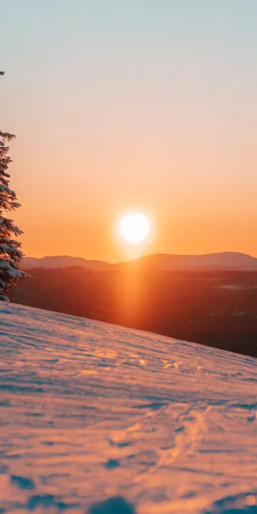Ett par skidåkare står i backen med skidorna på