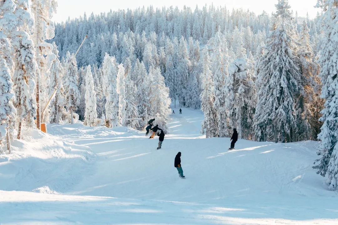 Flera snowboardåkare åker nedför en backe.