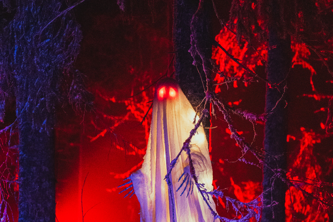 ett spöke i skogen